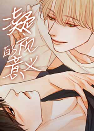 凝视的意义 凝视的意义